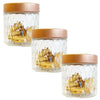 JS Gourmet - Set of 3 Embossed Glass Containers with Airtight Lid, 900ml Capacity - - Mounts For Less
