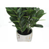 Monarch Specialties I 9507 - Artificial Plant, 31" Tall, Garcinia Tree, Indoor, Faux, Fake, Floor, Greenery, Potted, Real Touch, Decorative, Green Leaves, White Cement Pot - - Mounts For Less