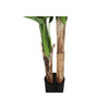 Monarch Specialties I 9568 - Artificial Plant, 55" Tall, Banana Tree, Indoor, Faux, Fake, Floor, Greenery, Potted, Real Touch, Decorative, Green Leaves, Black Pot - - Mounts For Less
