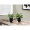 Monarch Specialties I 9580 - Artificial Plant, 11" Tall, Eucalyptus Grass, Indoor, Faux, Fake, Table, Greenery, Potted, Set Of 2, Decorative, Green Leaves, Black Pots - - Mounts For Less