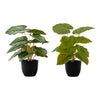 Monarch Specialties I 9583 - Artificial Plant, 13" Tall, Epipremnum, Indoor, Faux, Fake, Table, Greenery, Potted, Set Of 2, Decorative, Green Leaves, Black Pots - - Mounts For Less