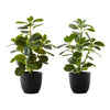 Monarch Specialties I 9585 - Artificial Plant, 14" Tall, Ficus, Indoor, Faux, Fake, Table, Greenery, Potted, Set Of 2, Decorative, Green Leaves, Black Pots - - Mounts For Less