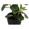 Monarch Specialties I 9585 - Artificial Plant, 14" Tall, Ficus, Indoor, Faux, Fake, Table, Greenery, Potted, Set Of 2, Decorative, Green Leaves, Black Pots - - Mounts For Less