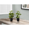 Monarch Specialties I 9585 - Artificial Plant, 14" Tall, Ficus, Indoor, Faux, Fake, Table, Greenery, Potted, Set Of 2, Decorative, Green Leaves, Black Pots - - Mounts For Less