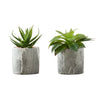 Monarch Specialties I 9586 - Artificial Plant, 6" Tall, Succulent, Indoor, Faux, Fake, Table, Greenery, Potted, Set Of 2, Decorative, Green Leaves, Grey Cement Pots - - Mounts For Less