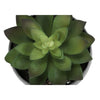 Monarch Specialties I 9587 - Artificial Plant, 6" Tall, Succulent, Indoor, Faux, Fake, Table, Greenery, Potted, Set Of 3, Decorative, Green Plants, Grey Cement Pots - - Mounts For Less