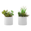 Monarch Specialties I 9588 - Artificial Plant, 7" Tall, Succulent, Indoor, Faux, Fake, Table, Greenery, Potted, Set Of 2, Decorative, Green Plants, White Ceramic Pots - - Mounts For Less