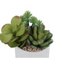 Monarch Specialties I 9588 - Artificial Plant, 7" Tall, Succulent, Indoor, Faux, Fake, Table, Greenery, Potted, Set Of 2, Decorative, Green Plants, White Ceramic Pots - - Mounts For Less