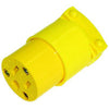 Rodac - Female Plug 110V - - Mounts For Less