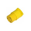 Rodac - Female Plug 110V - - Mounts For Less