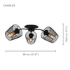 Xtricity - 3 Heads Light, 21.65 '' Width, From Charles Collection, Black - - Mounts For Less