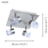 Xtricity - 4 Head Ceiling Light with Integrated LED, 10.2 '' Width, From Hope Collection, Nickel - - Mounts For Less