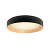 Xtricity - Ceiling Light with Integrated LED, 19.7" Diameter, From the York Collection, Black - - Mounts For Less