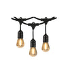 Xtricity - Outdoor LED String Lights, Waterproof, 48 Feet Long, 2200K Soft White - - Mounts For Less