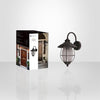 Xtricity - Outdoor Wall Light, Height 15.35 '', From Belz Collection, Black - - Mounts For Less