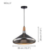 Xtricity - Pendant Light, 11 '' Height, From the Molly Collection, Silver - - Mounts For Less