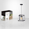 Xtricity - Pendant Light, 12'' Width, From the Westwood Collection, Black - - Mounts For Less
