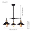Xtricity - Pendant Light, 25.9 '' Width, From The Louvre Collection, Black - - Mounts For Less