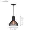 Xtricity - Pendant Light, 9.8 '' Wide, From The Carlton Collection, Black - - Mounts For Less