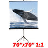 99" 1:1 Tripod compact projection screen 70X70" B - - Mounts For Less