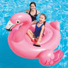 Intex - Inflatable Flamingo for Swimming Pool, 56'' x 54'' x 38'', Pink - - Mounts For Less