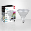 Xtricity - Dimmable Energy Saving LED Bulb, 18.5W, E26 Base, 5000K Daylight - - Mounts For Less