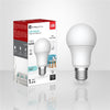 Xtricity - Energy Saving LED Bulb, 9W, E26 Base, 5000K Daylight - - Mounts For Less