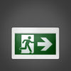Xtricity LED emergency exit light with 3 pictograms - - Mounts For Less