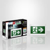 Xtricity LED emergency exit light with 3 pictograms - - Mounts For Less