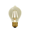 Xtricity - Old Style LED Bulb, 4.5W, E26 Base, 2200K Soft White - - Mounts For Less