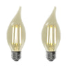 Xtricity - Set of 2 Old Style LED Bulbs, 5.5W, E26 Base, 2200K Soft White - - Mounts For Less